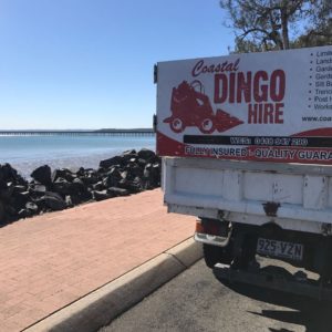 Coastal Dingo Hire Portfolio Image